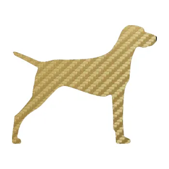 Polep vozidla SAMOLEPKA Pes 052 pravá Ohař (59 - 3D karbon zlatý) NA AUTO, NÁLEPKA, FÓLIE, POLEP, TUNING, VLASTNÍ TEXT, TISK, AUTOSAMOLEPKY.cz, POLEPY, OBRÁZEK, LOGO, SAMOLEPKY