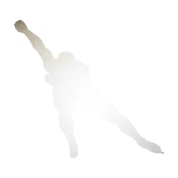 Polep vozidla Rychlobruslení levá (82 - odrazková reflexní bílá) SAMOLEPKA NA AUTO, NÁLEPKA, FÓLIE, POLEP, TUNING, VLASTNÍ TEXT, TISK, AUTOSAMOLEPKY.cz, POLEPY, OBRÁZEK, LOGO, 3D STICKERS