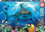 Educa Puzzle Bílý žralok 500 dílků