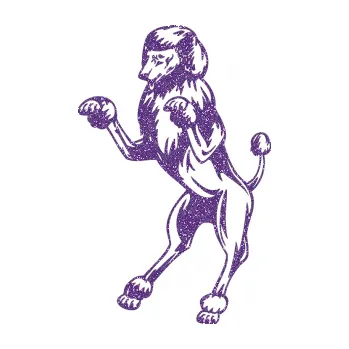 Polep vozidla SAMOLEPKA Pes 023 levá Pudl (87 - Ultra Metalic fialová) NA AUTO, NÁLEPKA, FÓLIE, POLEP, TUNING, VLASTNÍ TEXT, TISK, AUTOSAMOLEPKY.cz, POLEPY, OBRÁZEK, LOGO, SAMOLEPKY