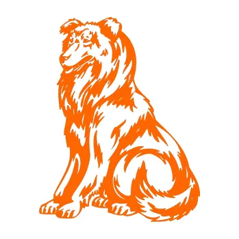 samolepka Pes 037 levá Kolie (73 - Fluorescentní oranžová) SAMOLEPKA NA AUTO, NÁLEPKA, FÓLIE, POLEP, TUNING, VLASTNÍ TEXT, TISK, AUTOSAMOLEPKY.cz, POLEPY, OBRÁZEK, LOGO, 3D STICKERS