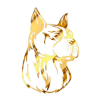 samolepka Pes 017 pravá (81 - chrom fólie zlatá zrcadlová) SAMOLEPKA NA AUTO, NÁLEPKA, FÓLIE, POLEP, TUNING, VLASTNÍ TEXT, TISK, AUTOSAMOLEPKY.cz, POLEPY, OBRÁZEK, LOGO, 3D STICKERS