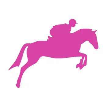 Samolepící dekorace Kůň 020 pravá skok s jezdcem (16 - růžová) SAMOLEPKA NA AUTO, NÁLEPKA, FÓLIE, POLEP, TUNING, VLASTNÍ TEXT, TISK, AUTOSAMOLEPKY.cz, POLEPY, OBRÁZEK, LOGO, 3D STICKERS