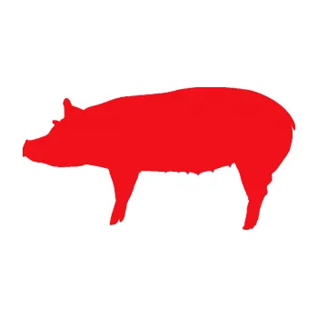 Samolepící dekorace SAMOLEPKA Prase 002 levá (10 - červená) NA AUTO, NÁLEPKA, FÓLIE, POLEP, TUNING, VLASTNÍ TEXT, TISK, AUTOSAMOLEPKY.cz, POLEPY, OBRÁZEK, LOGO, SAMOLEPKY