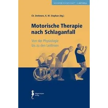 Motorische Therapie nach Schlaganfall - Dettmers, Christian