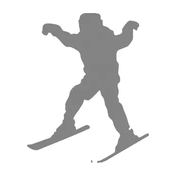 Samolepicí dekorace na vozidlo Lyžař 011 levá (17 - šedá) SAMOLEPKA NA AUTO, NÁLEPKA, FÓLIE, POLEP, TUNING, VLASTNÍ TEXT, TISK, AUTOSAMOLEPKY.cz, POLEPY, OBRÁZEK, LOGO, 3D STICKERS