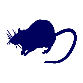 Samolepící dekorace SAMOLEPKA Krysa 002 levá (23 - tmavě modrá) NA AUTO, NÁLEPKA, FÓLIE, POLEP, TUNING, VLASTNÍ TEXT, TISK, AUTOSAMOLEPKY.cz, POLEPY, OBRÁZEK, LOGO, SAMOLEPKY