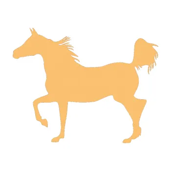Samolepící dekorace SAMOLEPKA Kůň 009 levá (08 - béžová) NA AUTO, NÁLEPKA, FÓLIE, POLEP, TUNING, VLASTNÍ TEXT, TISK, AUTOSAMOLEPKY.cz, POLEPY, OBRÁZEK, LOGO, SAMOLEPKY