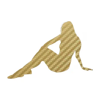 Polep vozidla Erotická žena 048 levá (59 - 3D karbon zlatý) SAMOLEPKA NA AUTO, NÁLEPKA, FÓLIE, POLEP, TUNING, VLASTNÍ TEXT, TISK, AUTOSAMOLEPKY.cz, POLEPY, OBRÁZEK, LOGO, 3D STICKERS