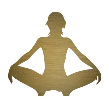 Polep vozidla Erotická žena 003 levá (64 - škrábaný kov zlatý) SAMOLEPKA NA AUTO, NÁLEPKA, FÓLIE, POLEP, TUNING, VLASTNÍ TEXT, TISK, AUTOSAMOLEPKY.cz, POLEPY, OBRÁZEK, LOGO, 3D STICKERS