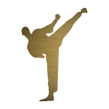 Polep vozidla Karate 001 pravá (64 - škrábaný kov zlatý) SAMOLEPKA NA AUTO, NÁLEPKA, FÓLIE, POLEP, TUNING, VLASTNÍ TEXT, TISK, AUTOSAMOLEPKY.cz, POLEPY, OBRÁZEK, LOGO, 3D STICKERS