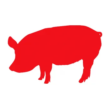 Samolepící dekorace SAMOLEPKA Prase 001 levá (10 - červená) NA AUTO, NÁLEPKA, FÓLIE, POLEP, TUNING, VLASTNÍ TEXT, TISK, AUTOSAMOLEPKY.cz, POLEPY, OBRÁZEK, LOGO, SAMOLEPKY