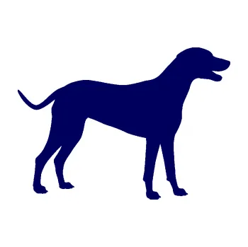 Polep vozidla SAMOLEPKA Pes 095 pravá Dalmatin (23 - tmavě modrá) NA AUTO, NÁLEPKA, FÓLIE, POLEP, TUNING, VLASTNÍ TEXT, TISK, AUTOSAMOLEPKY.cz, POLEPY, OBRÁZEK, LOGO, SAMOLEPKY