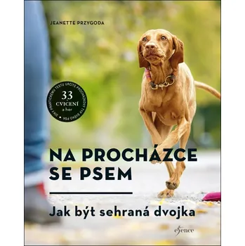 Na procházce se psem: Jak být sehraná…