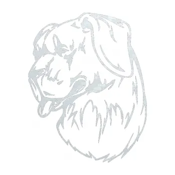 Polep vozidla SAMOLEPKA Pes 021 levá (51 - 3D karbon bílý) NA AUTO, NÁLEPKA, FÓLIE, POLEP, TUNING, VLASTNÍ TEXT, TISK, AUTOSAMOLEPKY.cz, POLEPY, OBRÁZEK, LOGO, SAMOLEPKY