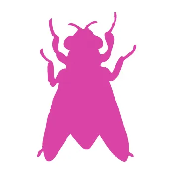 Samolepící dekorace SAMOLEPKA Moucha 001 (16 - růžová) NA AUTO, NÁLEPKA, FÓLIE, POLEP, TUNING, VLASTNÍ TEXT, TISK, AUTOSAMOLEPKY.cz, POLEPY, OBRÁZEK, LOGO, SAMOLEPKY