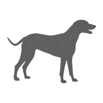 Polep vozidla SAMOLEPKA Pes 095 pravá Dalmatin (62 - škrábaný titan) NA AUTO, NÁLEPKA, FÓLIE, POLEP, TUNING, VLASTNÍ TEXT, TISK, AUTOSAMOLEPKY.cz, POLEPY, OBRÁZEK, LOGO, SAMOLEPKY