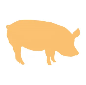 Samolepící dekorace SAMOLEPKA Prase 001 pravá (08 - béžová) NA AUTO, NÁLEPKA, FÓLIE, POLEP, TUNING, VLASTNÍ TEXT, TISK, AUTOSAMOLEPKY.cz, POLEPY, OBRÁZEK, LOGO, SAMOLEPKY