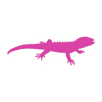 Samolepící dekorace Agama 001 pravá (16 - růžová) SAMOLEPKA NA AUTO, NÁLEPKA, FÓLIE, POLEP, TUNING, VLASTNÍ TEXT, TISK, AUTOSAMOLEPKY.cz, POLEPY, OBRÁZEK, LOGO, 3D STICKERS