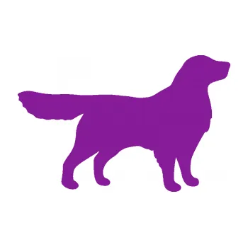 Polep vozidla SAMOLEPKA Pes 111 pravá Retrívr (14 - fialová) NA AUTO, NÁLEPKA, FÓLIE, POLEP, TUNING, VLASTNÍ TEXT, TISK, AUTOSAMOLEPKY.cz, POLEPY, OBRÁZEK, LOGO, SAMOLEPKY