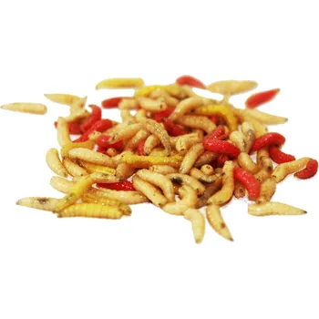 Teraristika Živá nástraha - Masový červ MIX Balení: 1 dcl