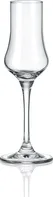 Rona Grappa 100 ml 6 ks