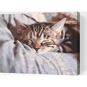 Malování podle čísel - Spící kotě Velikost: 40x50cm, Rámování: Pouze srolované plátno