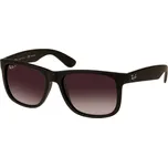 Ray Ban Pánské sluneční brýle RB4165622/T355