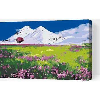 Malování podle čísel - Louka uprostřed hor Velikost: 40x60cm, Rámování: Pouze srolované plátno