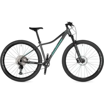 Horské kolo Author Context ASL 29" stříbrné/zelené 2021