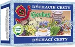 Herbex Dýchací cesty 20 x 3 g 