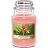 Svíčka Yankee Candle The Last Paradise