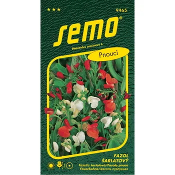 Semeno SEMO Fazol šarlatový pnoucí červenobílý