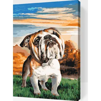 Malování podle čísel - Anglický buldoček na zahradě Velikost: 40x60cm, Rámování: Pouze srolované plátno