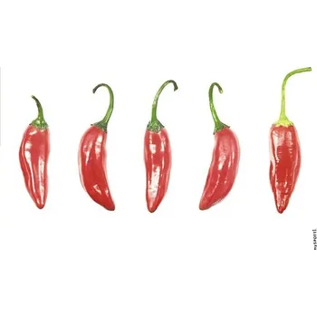 Obkladový panel do kuchyně mySPOTTI pop Feferonky 41x59 cm