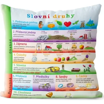 Dekorativní polštářek Polštář Slovní druhy -