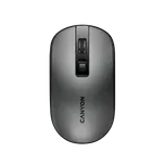 Canyon CNS-CMSW18DG šedá