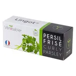 Véritable Lingot BIO Petržel kadeřavá