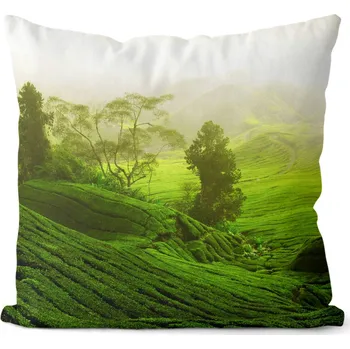 Dekorativní polštářek Polštář Zelená pláň 40x40 cm (Velikost: 40 x 40 cm)