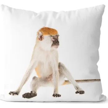 Dekorativní polštářek Polštář Opička 40x40 cm (Velikost: 40 x 40 cm)