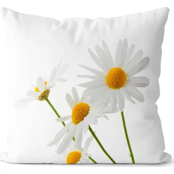 Dekorativní polštářek Foto polštář Kopretina 40x40 cm (Velikost: 40 x 40 cm)