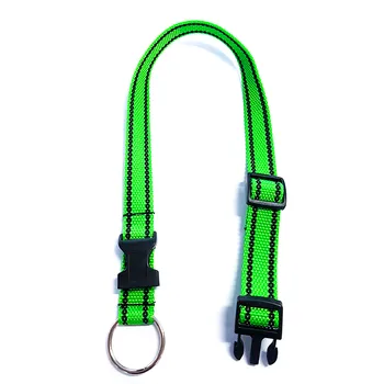 Obojek pro psa Obojek z popruhu 65 cm x 25 mm Barva: Zelená