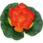 Pontec Pondolily leknín