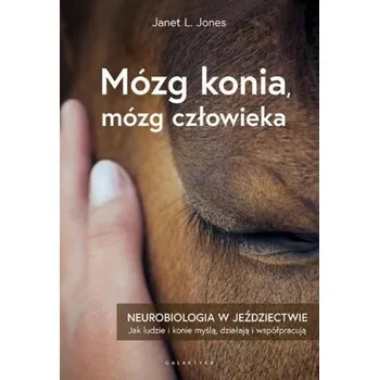 Mózg konia, mózg człowieka - Mackway-Jones Kevin, Marsden Janet, Windle Jill