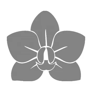 Samolepící dekorace Květina dekor 023 orchidej květ (17 - šedá) SAMOLEPKA NA AUTO, NÁLEPKA, FÓLIE, POLEP, TUNING, VLASTNÍ TEXT, TISK, AUTOSAMOLEPKY.cz, POLEPY, OBRÁZEK, LOGO, 3D STICKERS