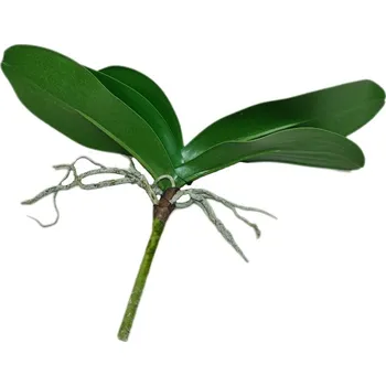 umělá květina Umělé listy orchidejí 30cm - Do interiéru