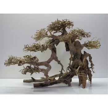 Akvaria.cz Bonsai wood L (BW40426)