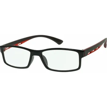 Brýle na čtení Dioptrické čtecí brýle RGL211R +4,0D