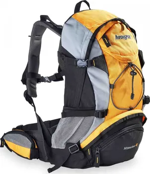 Aspen sport outlet backpack