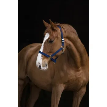 Stájová ohlávka pro koně, vel.1 černá